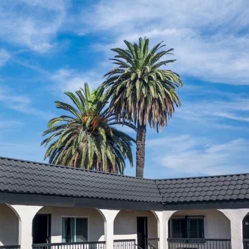 The image shows a building with arches and palm trees in the background under a blue sky with clouds.