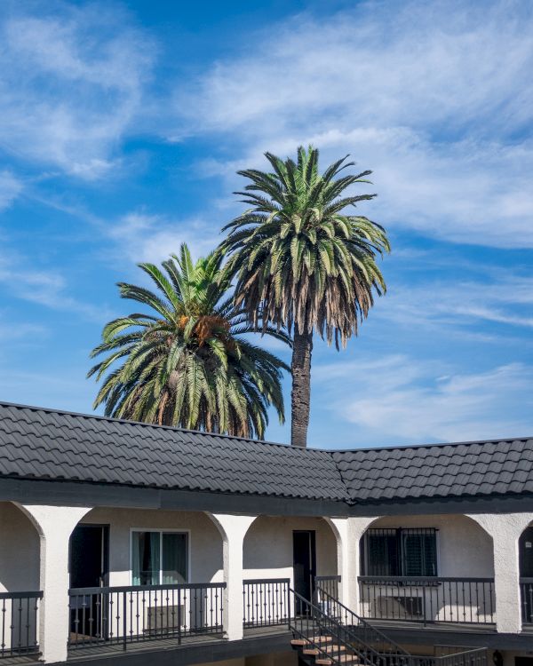 The image shows a building with arches and palm trees in the background under a blue sky with clouds.