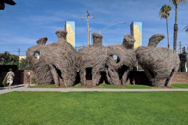 The image shows a large outdoor sculpture made of woven branches, resembling abstract, organic shapes on a grassy area with palm trees nearby.