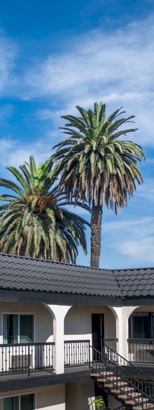 An apartment building with balconies, stairs, and two tall palm trees under a clear blue sky with scattered clouds.